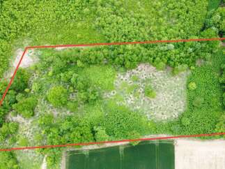 Discover this expansive parcel of land, perfect for development or private retreat.