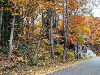 Experience the beauty of autumn with this charming property nestled amidst vibrant fall foliage.