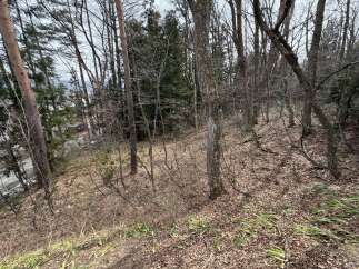 Discover the serene beauty of this wooded property, perfect for those seeking a tranquil escape.