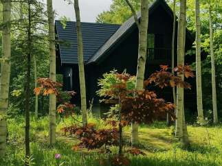 For Sale in Kondo with 4 Beds