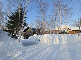 Experience the charm of a winter wonderland with this picturesque property nestled amongst snow-covered trees.
