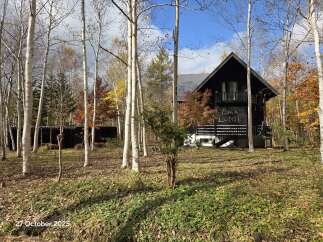 Discover the charm of this unique 'Lava Lodge' nestled amidst a vibrant autumn forest.