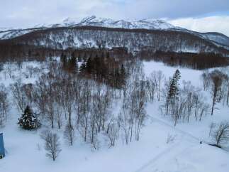 Land for sale in Soga