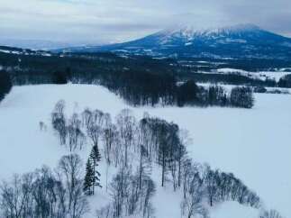 Discover this stunning winter landscape, perfect for a serene getaway or a picturesque residential setting.