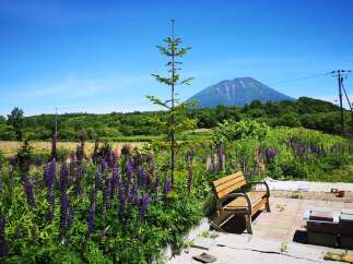 Land in Sakuragawa with 1 Bed and 1 Bathroom