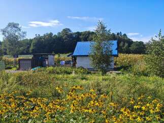 Land in Sakuragawa with 1 Bed and 1 Bathroom