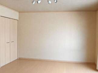 This spacious room features a large built-in wardrobe, perfect for ample storage.