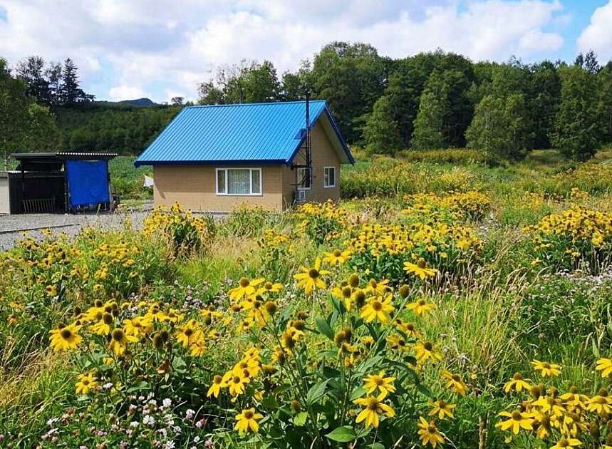 Escape to this charming countryside home, nestled amidst a vibrant meadow bursting with yellow wildflowers.