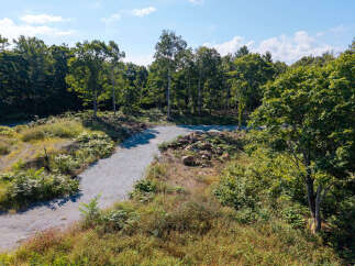 Discover this picturesque wooded lot, perfect for building your dream home.