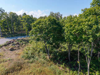 Discover this serene property surrounded by lush greenery and mature trees, offering a tranquil escape.