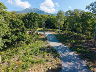 Discover your private oasis with this stunning property featuring a winding gravel path leading through lush greenery and mature trees.