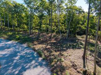 Discover this picturesque wooded lot, perfect for building your dream home.