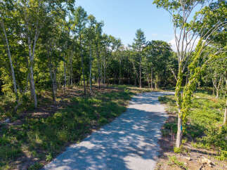 Discover the potential of this expansive wooded lot, perfect for building your dream home or a secluded retreat.