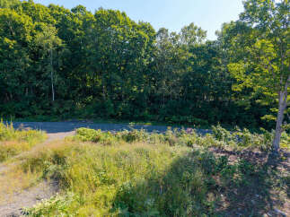 Discover a serene natural setting with this property, featuring a paved road winding through lush greenery and mature trees.