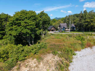 Discover this charming property nestled amidst lush greenery and mature trees, offering a serene escape.