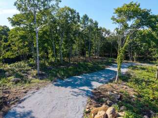 Discover your dream home nestled within a serene, wooded landscape.