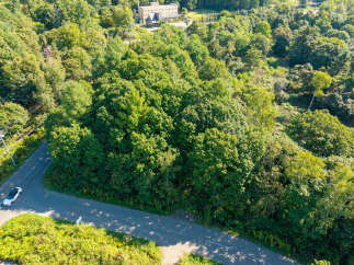 Discover this serene property nestled amidst lush greenery and mature trees, offering a tranquil escape.