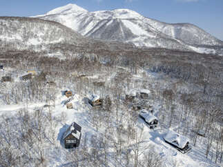 Discover a winter wonderland with these charming chalets nestled amidst snow-covered trees and majestic mountains.