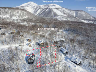 Discover a winter wonderland with these charming chalets nestled amidst snow-covered trees and majestic mountains.