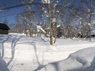 Escape to this serene winter wonderland, featuring charming A-frame cabins nestled amidst snow-covered trees.