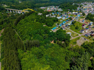 Discover this charming residential area nestled amidst lush greenery, offering a serene escape from the urban bustle.
