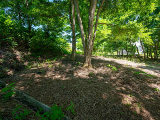Discover a serene natural setting perfect for your new home.