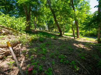 Discover a serene natural setting perfect for your dream home, featuring lush greenery and mature trees that offer privacy and tranquility.