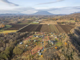 Land for sale in Ohara