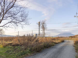 Land for sale in Ohara