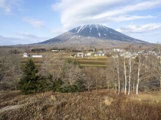 Land for sale in Midorioka