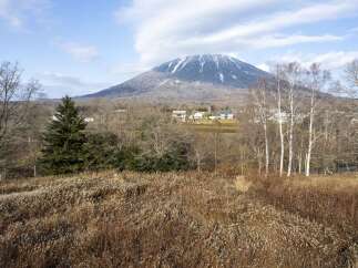 Land for sale in Midorioka