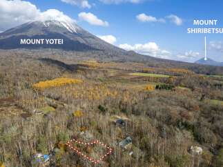 Discover your dream retreat nestled amidst the stunning autumn foliage with Mount Yotei as your backdrop.