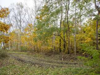 Discover the potential of this wooded lot, perfect for building your dream home or a secluded getaway.