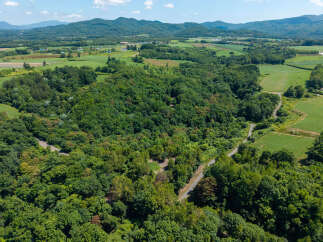 Discover this stunning aerial view of a lush green landscape, perfect for a serene retreat or agricultural venture.