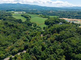 Discover this expansive rural landscape, featuring lush green fields and dense forests, perfect for agricultural ventures or a serene retreat.