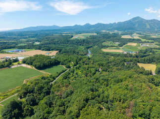Discover this expansive rural landscape, featuring lush green fields, dense forests, and rolling hills under a clear blue sky.