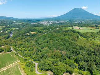 Discover breathtaking panoramic views of a majestic mountain dominating the skyline, overlooking a charming town nestled amidst lush green forests and rolling hills.
