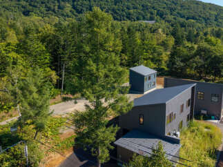 Discover modern living nestled amidst lush greenery.