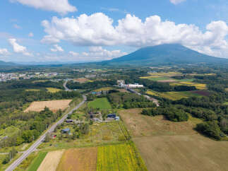 Discover this stunning aerial view of a serene rural landscape, showcasing a majestic mountain in the background under a clear blue sky with fluffy clouds.