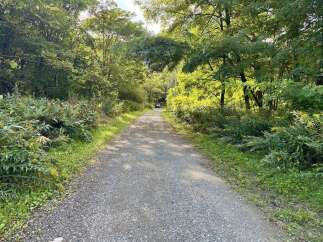 Discover this charming property nestled amidst lush greenery and mature trees, offering a serene and private retreat.