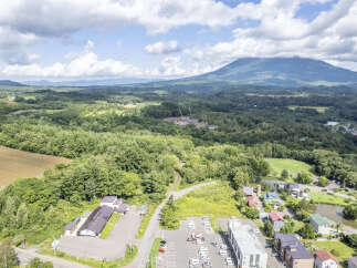 Discover this expansive property nestled amidst lush greenery, offering breathtaking views of a majestic mountain.