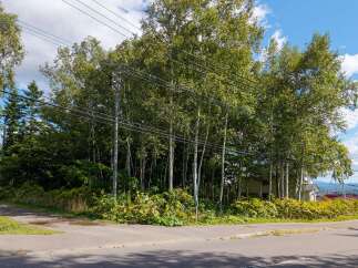 Discover this charming property nestled amidst lush greenery and mature trees, offering a serene and private atmosphere.