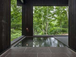 Immerse yourself in tranquility with this stunning outdoor soaking tub, seamlessly integrated into a modern architectural design.