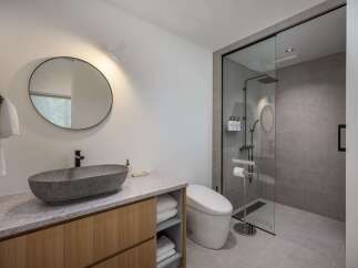 Experience modern luxury in this stunning bathroom featuring a sleek stone vessel sink atop a warm wood vanity.