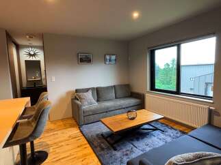 Experience modern living in this stylish apartment featuring a comfortable grey sofa and a chic coffee table.