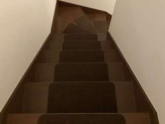 Experience comfort and safety with this beautifully carpeted staircase, featuring a sturdy wooden handrail for support.