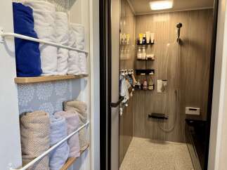 Experience modern comfort in this bathroom featuring a sleek shower stall with elegant wood-grain paneling and a convenient handheld showerhead.