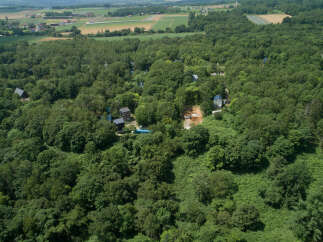 Discover a secluded retreat nestled within a lush, green forest, offering unparalleled privacy and tranquility.