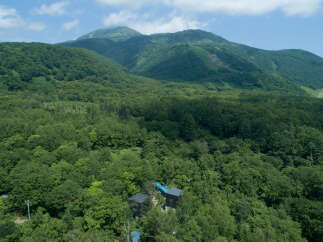 Nestled amidst a lush, green forest, this property offers a serene escape with modern architecture.