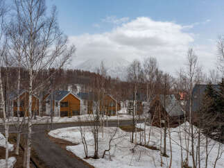 Experience the serene beauty of this mountain village, featuring charming wooden houses nestled amidst snow-dusted landscapes and bare birch trees.